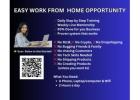 Work from Home Made Easy: Earn 100% Profit with Zero Tech Skills!