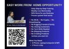 Work from Home Made Easy: Earn 100% Profit with Zero Tech Skills!