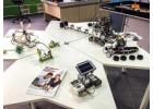 Start Your Robotics Journey with VEX Robotics Now!