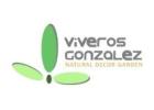 Comprar buganvillas para decoración