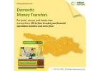 Domestic Money Transfers Provider in Georgia