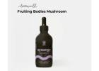 Experience the Power of Fruiting Bodies Mushroom Extract