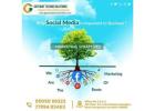 Affordable Social Media Marketing Services in Kurnool 