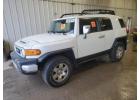 2010 Toyota FJ Cruiser