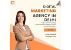 Elite Digital Marketing Agency for Growth & Innovation