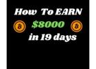 How to EARN $8,000 in 19 Days