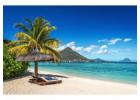 Escape to Paradise – Best Mauritius Tour Packages with Kesari Tours