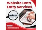 Best Website Data Entry Services in India