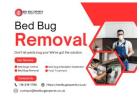 Effective Bed Bug Removal: Understanding Heat Treatment and Other Methods