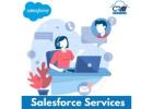 Achieve Business Excellence with Salesforce Services