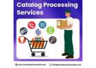 Outsource eCommerce Catalog Processing Services in India