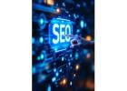 Get the best SEO Service in Delhi