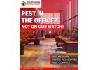 Effective Pest Control Services – Say Goodbye to Pests!