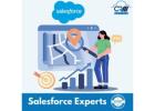 The Certified Salesforce Expert for Seamless CRM Solutions