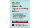 Best Digital Marketing Course & Training Institute in Rohtak With Placements