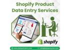 Best Shopify Product Data Entry Services in India