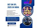 Best Real Money IPL Betting App in India - Join Wic11!