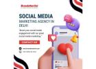 Social Media Marketing Agency in Delhi​