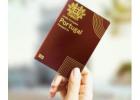 Trusted Portuguese Passport Agents in Goa – Expert Guidance