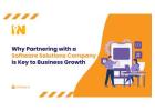 Why Partnering with a Software Solutions Company is Key to Business Growth