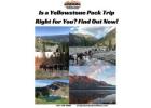 Is A Yellowstone Pack Trip Right For You? Find Out Now