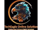  Techeagle Online Solution