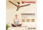 Decorative Ceiling Fan Manufacturers In India