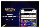 Reddy Anna Book: Your Ultimate Online Betting Platform