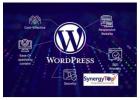 Wordpress Maintenance Services - SynergyTop