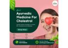 Best Ayurvedic Medicine for Cholesterol : You Should Try!