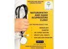 Naturopathy and Sujok Acupressure clinic in paldi,Ahmedabad