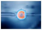 The Best IVF Center in Kolkata