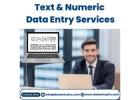 Best Text and Numeric Data Entry Services in India