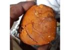 Buy cow /Ox Gallstone Available On Stock Now @ (WhatsApp: +237673528224)