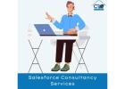 Seamless Integration & Customization with Salesforce Consultancy Services 