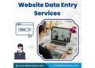 Best Website Data Entry Services in India