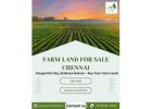 Farm Land for Sale Chennai - River Properties