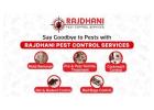 How to Find the Best Pest Control Services Near Me in Noida?