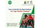 How to Identify the Best institute for yoga teacher training?