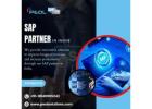 SAP Partner in India