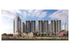  Smart World One Dxp - Residential Property in Sector 113 Gurgaon