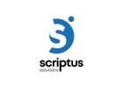 Top Agile Software Development Company for Scriptus Solutions