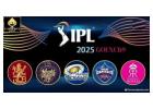 Visit GoExch9 start online betting ID on IPL 2025 matches right now!