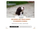 Dog Board and Train Agency in Sarasota Florida | Dog Trainer Sarasota