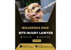 Injured by a dog? A Waukesha Dog Bite Injury Lawyer fights for you!