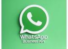 Choosing the Best WhatsApp Business API Providers for Seamless Business Communication