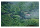 Kerala Tours and Packages