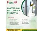 Professional Pest Control Services in Kolkata – PestoNIX