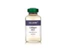 Hydrate & Lift Skin with Pure Collagen Serum