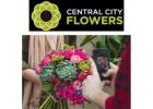Bright And Bold Flowers Christchurch Prices | Best Deals Today